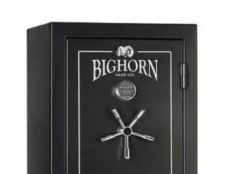 Bighorn 24 cu. ft. Executive Safe