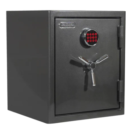 Sanctuary Platinum Home Safe Reviews