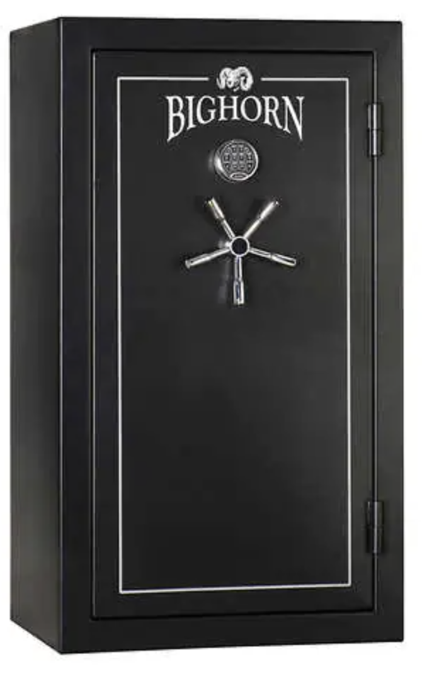 Bighorn 31.41 cu. ft. Executive Safe Review