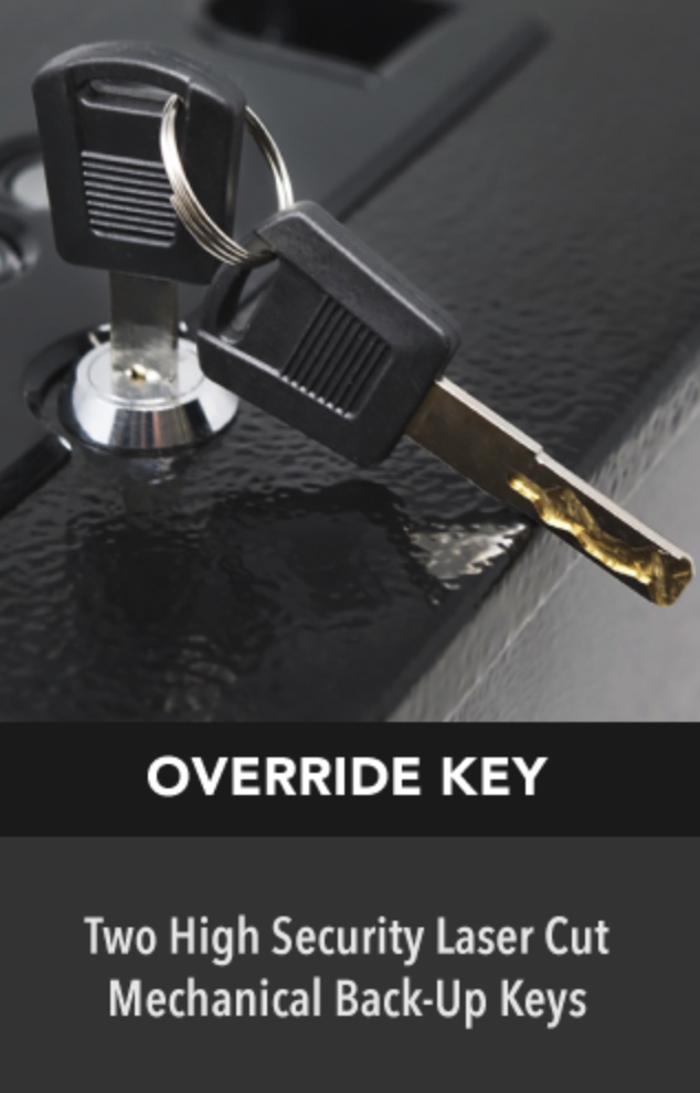 Stealth Biometric Handgun Hanger Safe Key Override