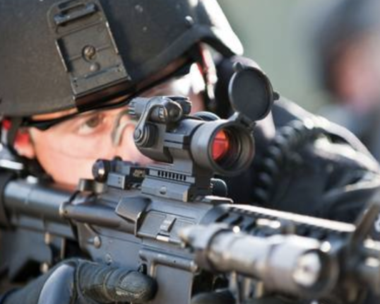 Aimpoint PRO Red Dot Reflex Sight Featured Image