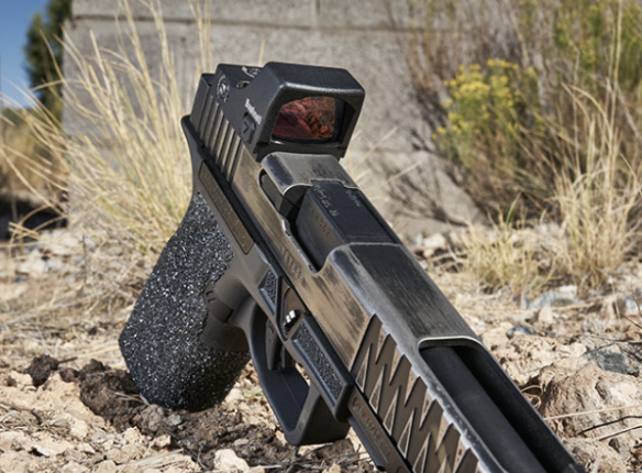 Bushnell RXS-250 Reflex Sight Featured Image