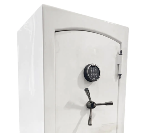 Champion Estate ES-12 Home Safe Featured Image